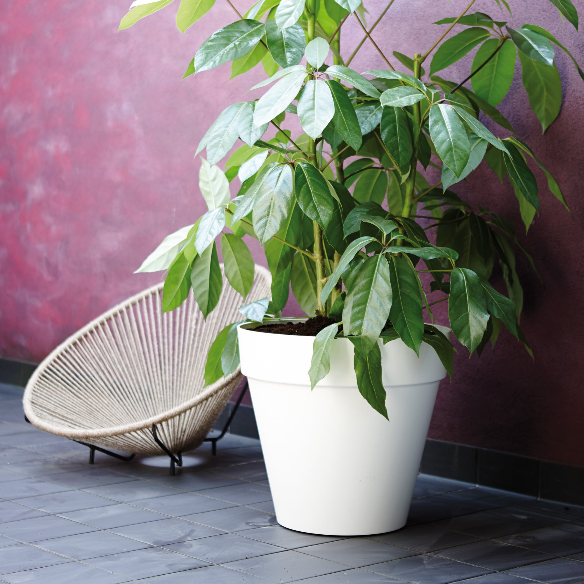 elho Loft Urban Round Bloempot 40 cm met Wielen