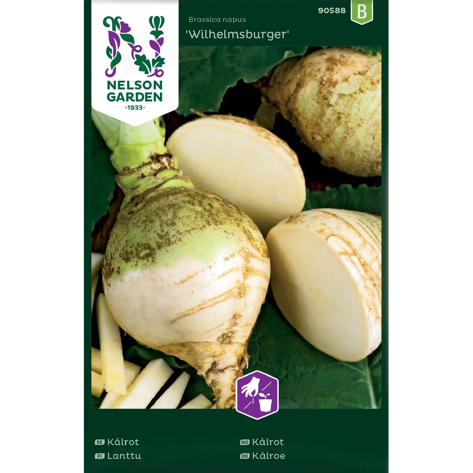 Brassica napus 'Wilhelmsburger' Kålrot 'Wilhelmsburger'