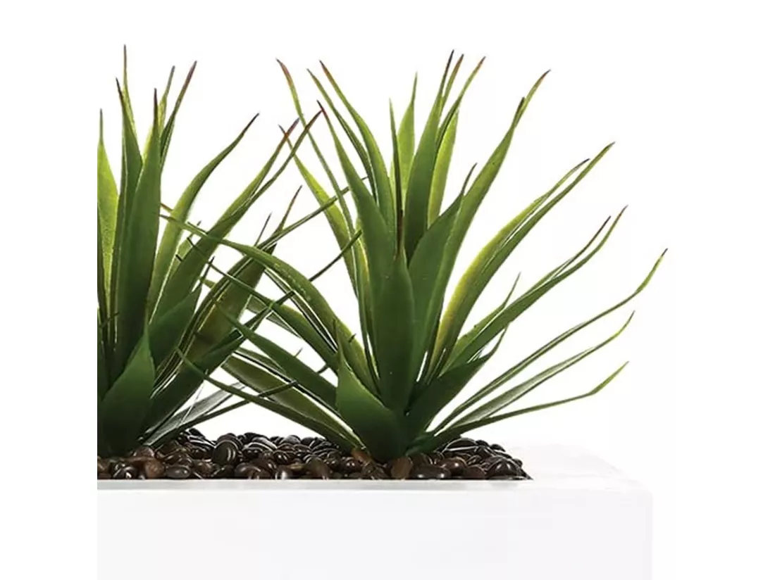 WELL HOME - Centre de table décoratif 3 plantes d'Aloe Vera H.17