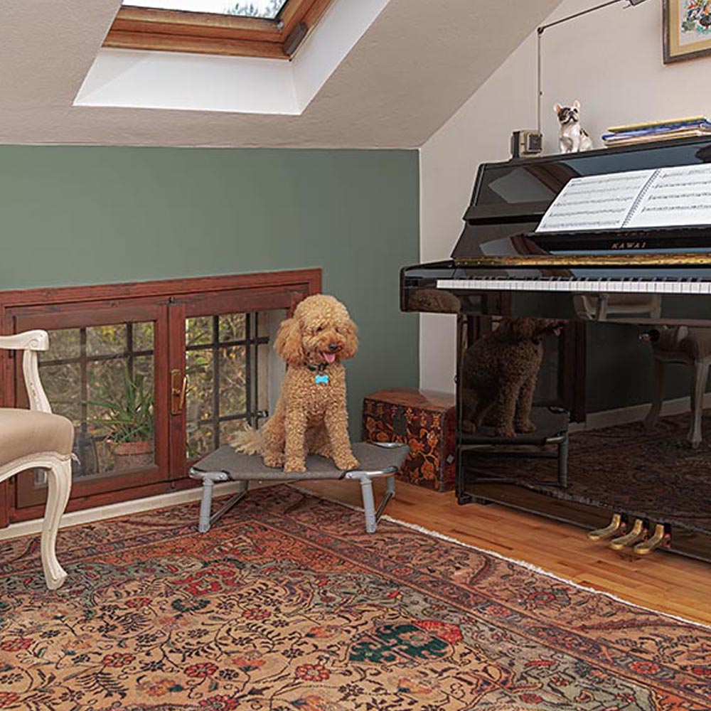 Lit pliant pour chiens dream 60 avec structure en aluminium et élastiques renforcés