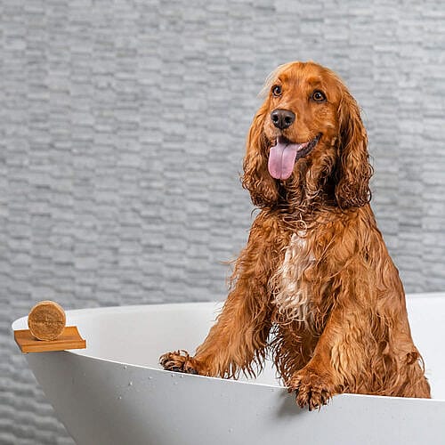 Happy Soaps Honden Shampoo Bar | Korte vacht | 12211