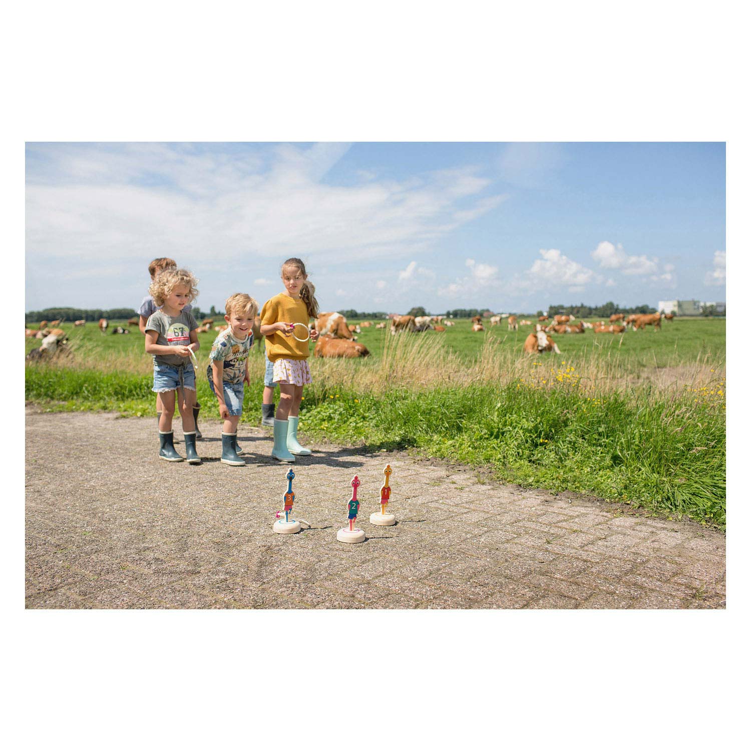 BS Toys Ringwerpen Vogels Hout- Werpspel