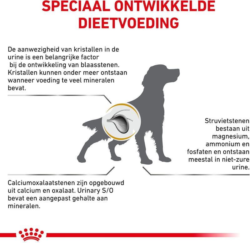 Royal Canin - Urinary S/O - Hondvoer - 13 kg - Voor Urinewegproblemen
