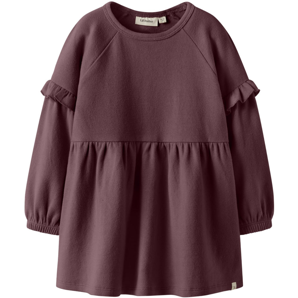 Køb Lil'Atelier Catawba Grape Nmfthora Hyn Ls Kjole Lil