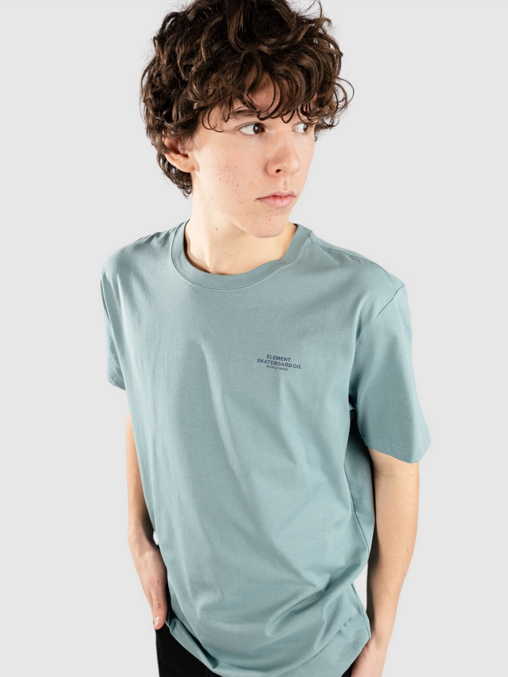 Element Skateboard Co T-Shirt trellis