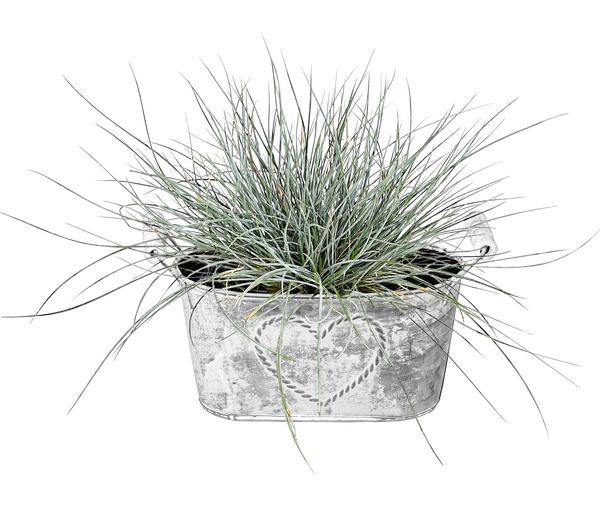 Dehner Zink-Jardiniere mit Henkeln, ca.