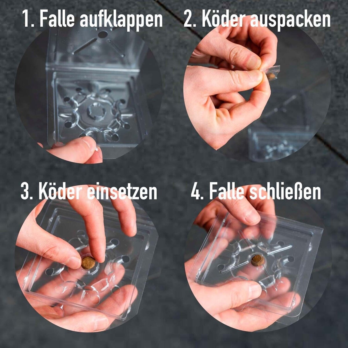 Zilvervisjesval