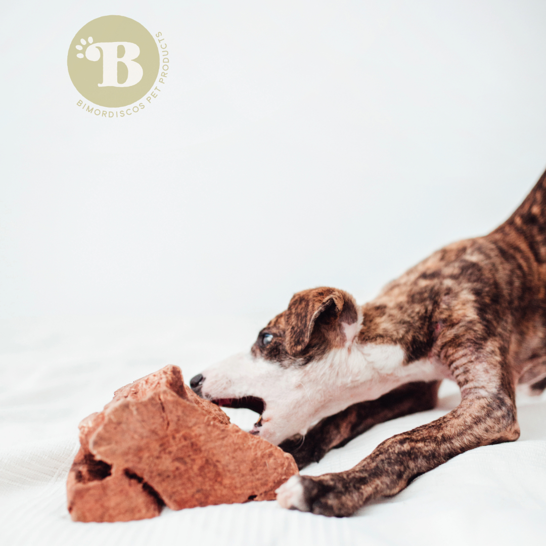 BIMORDISCO Raiz de urze para cães com óleo de salmão