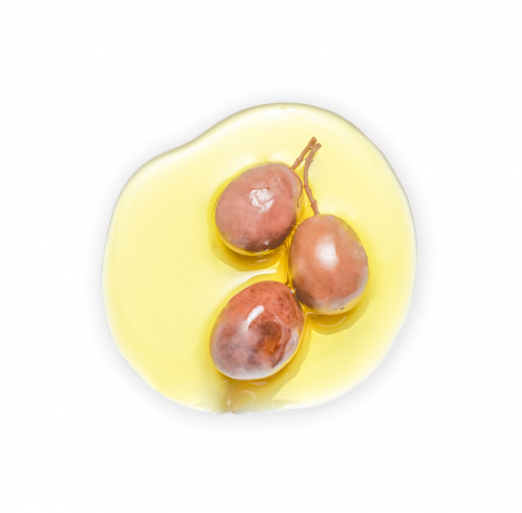 Glace Huile d'Olive | La Glace Alain Ducasse 90 ml