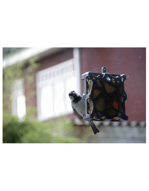 Singing Friend Anna Window Feeder 100% Recycled - Voersilo - 13x4x14 cm Grijs