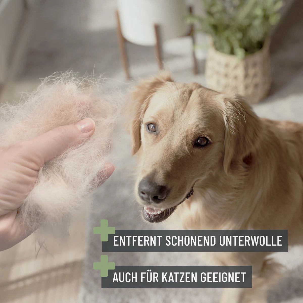 Unterwollbürste - ReaVET