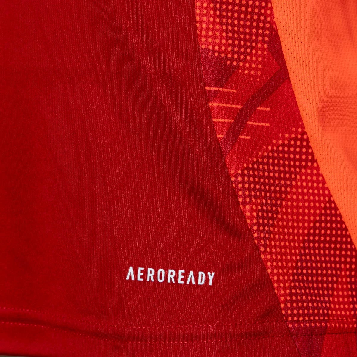 T-Shirt adidas Real Zaragoza Training 2024-2025 Portero