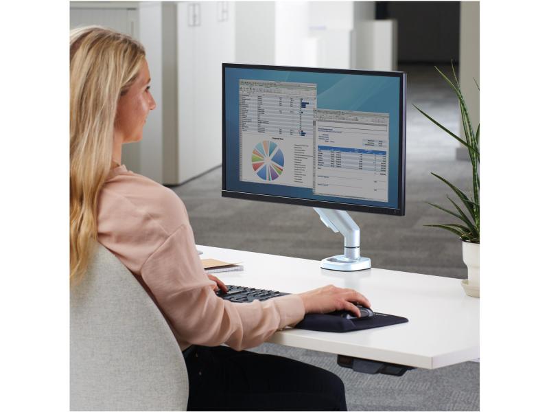 Fellowes Eppa Weiss Einzel-Monitorarm