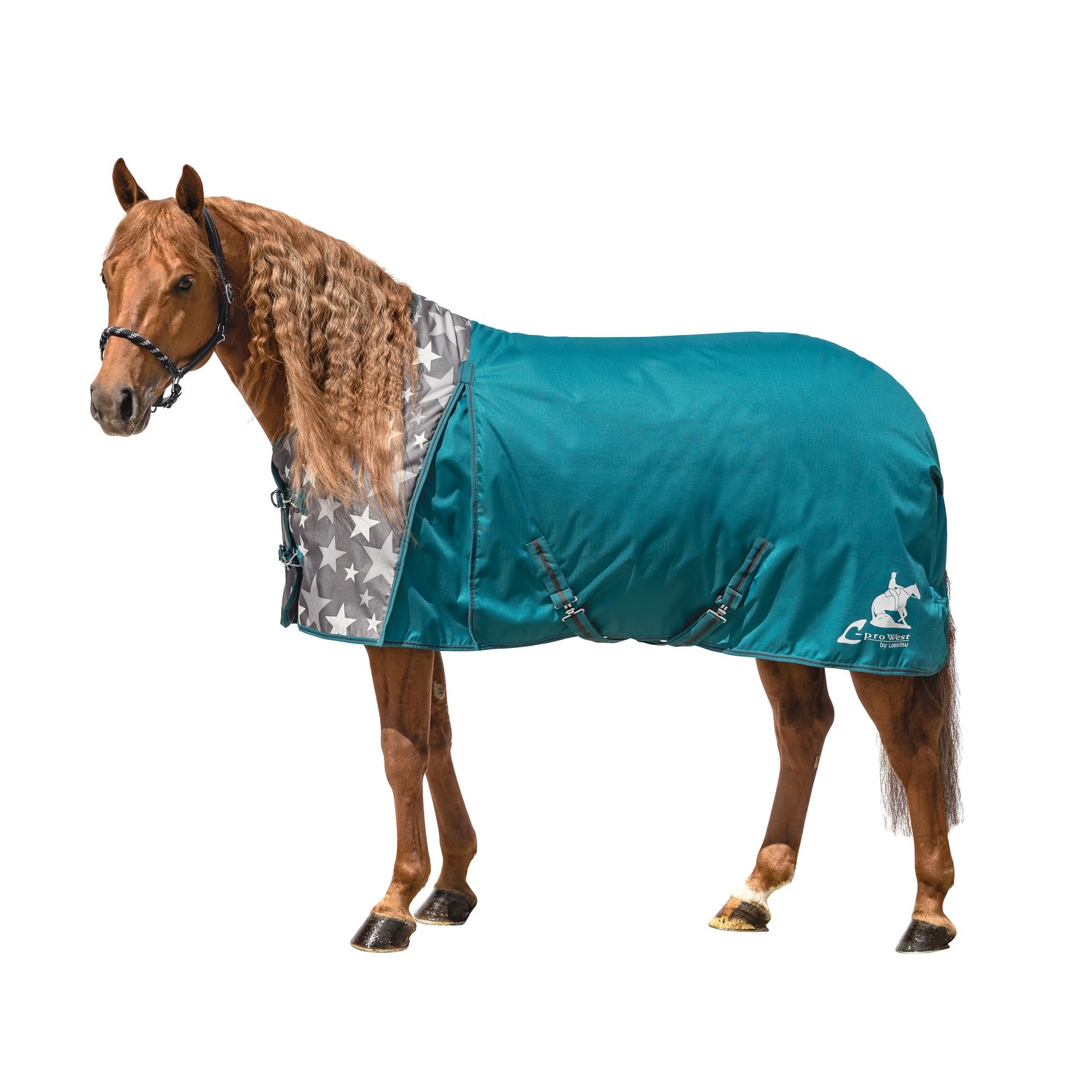 L-pro West Outdoordecke Sparkler - petrol/grey