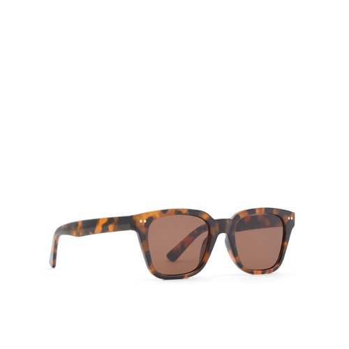 Aldo - BRACHIUM - Marron