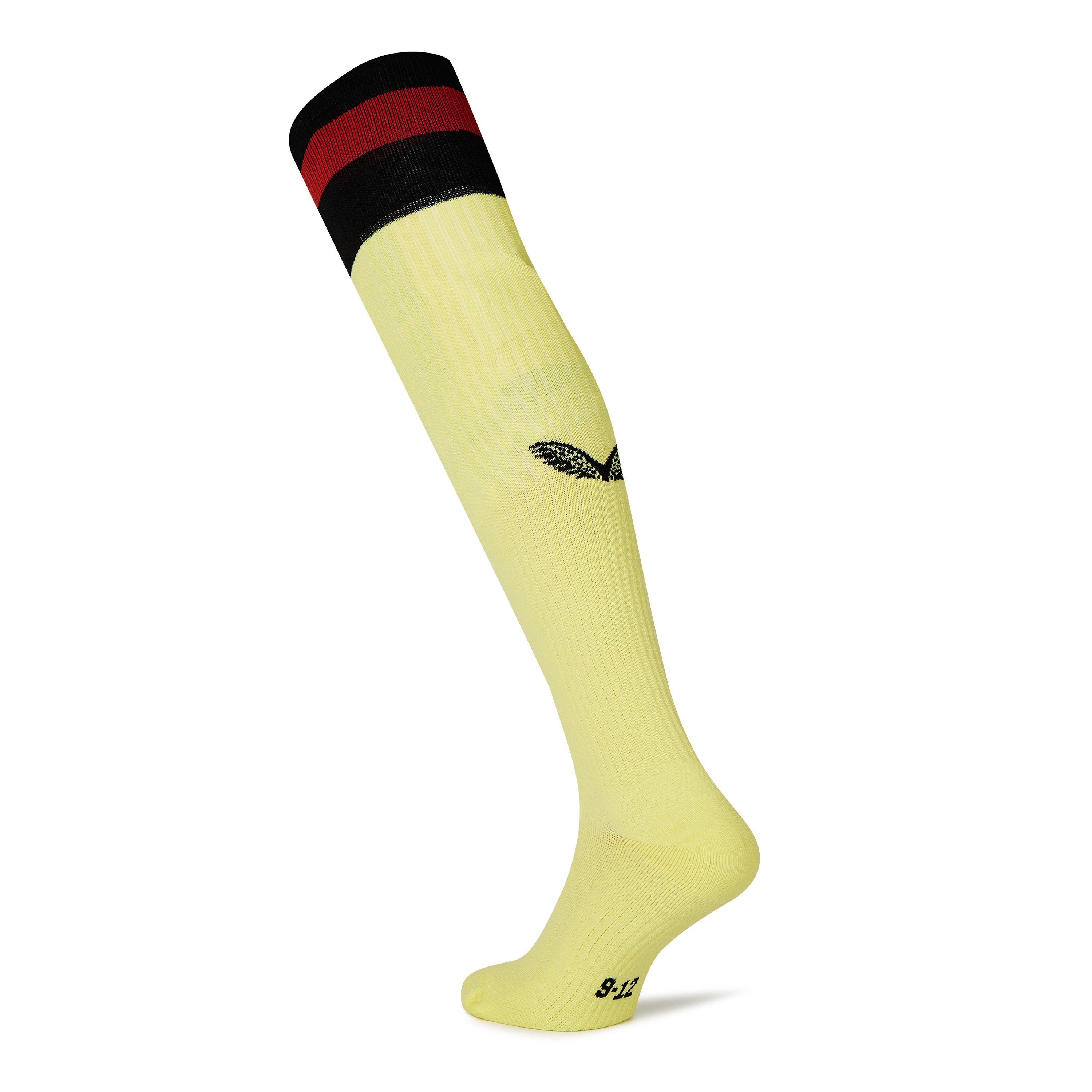 Castore Charlton Athletic Goalkeeper Home Socks Adults