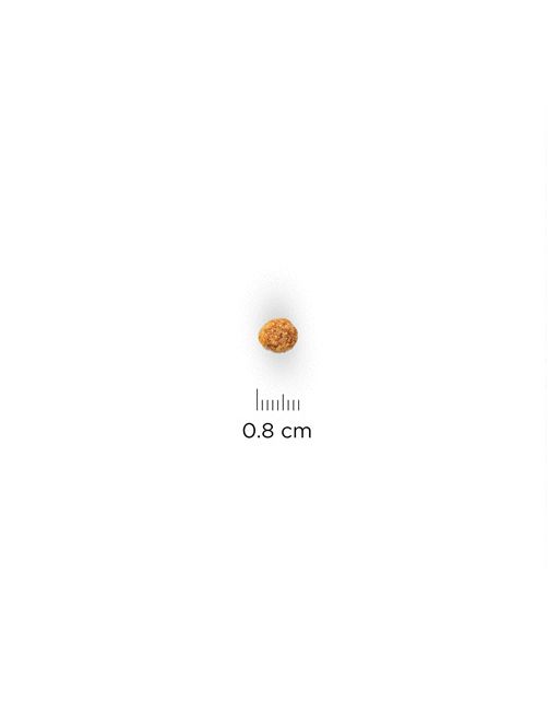 Hill's Canine Adult Light Small&Mini Breed - Hondenvoer - Kip 1.4 kg