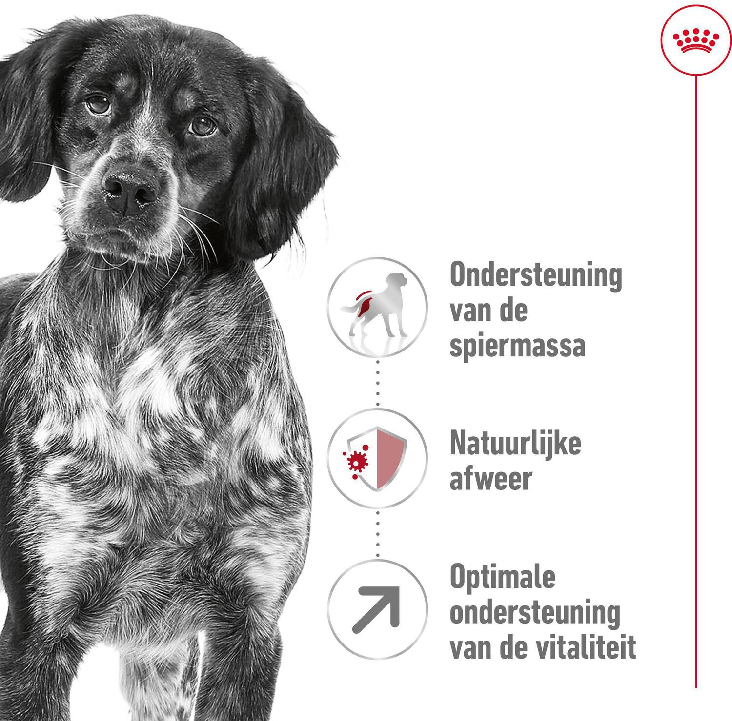 Royal Canin hondenvoer Medium adult 7+ 15 kg