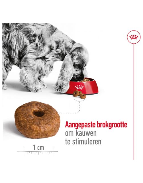 Royal Canin Medium Ageing 10+ - Hondenvoer