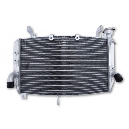 Radiateur Brazoline A EAU ADAPTABLE