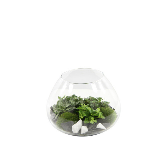 Composition Mini jardin : D.23x H.16cm