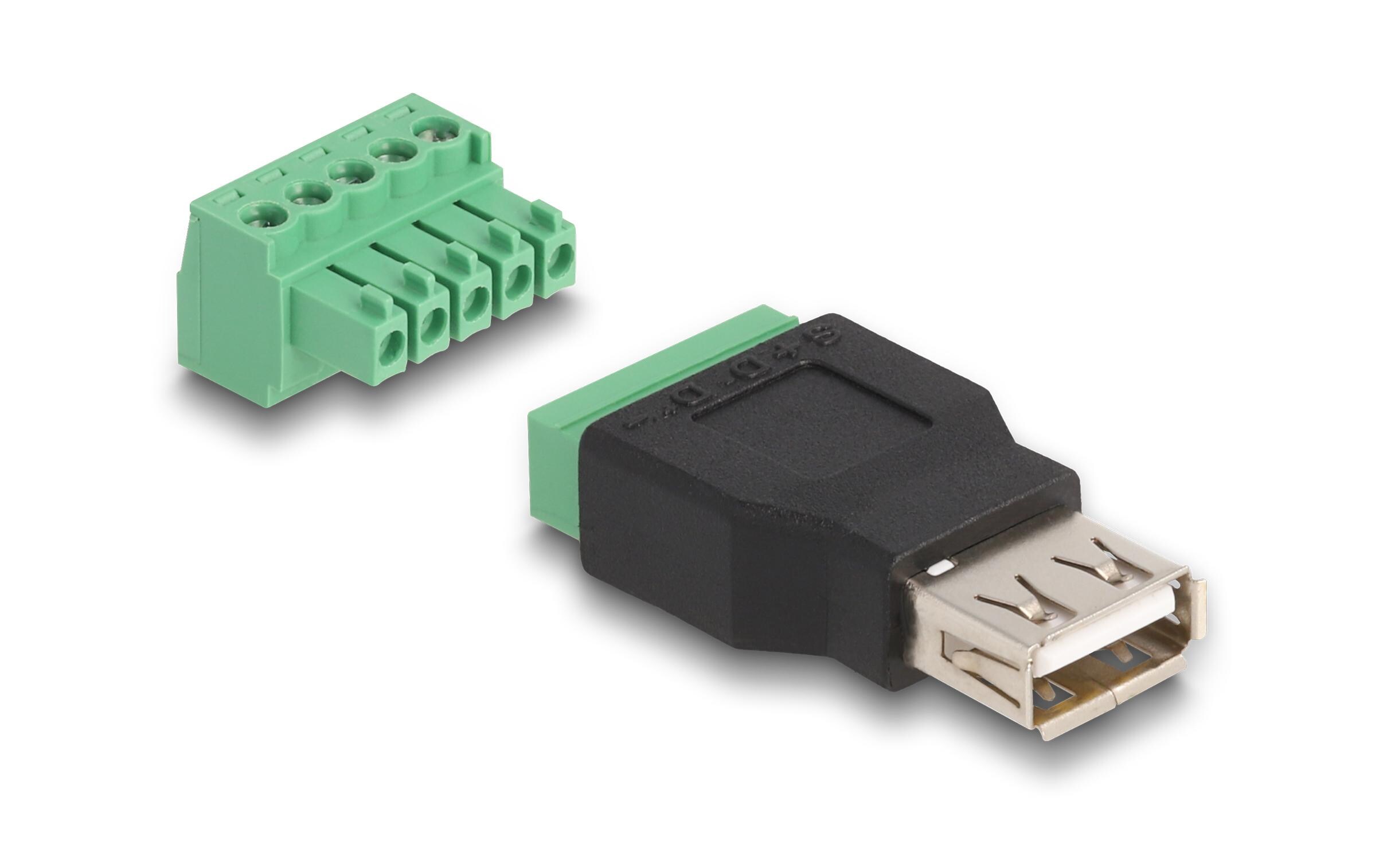 USB 2.0 Adapter USB-A Buchse - TerminalblockDelock USB 2.0 Typ-A Buchse zu Terminalblock Adapter 2-teilig