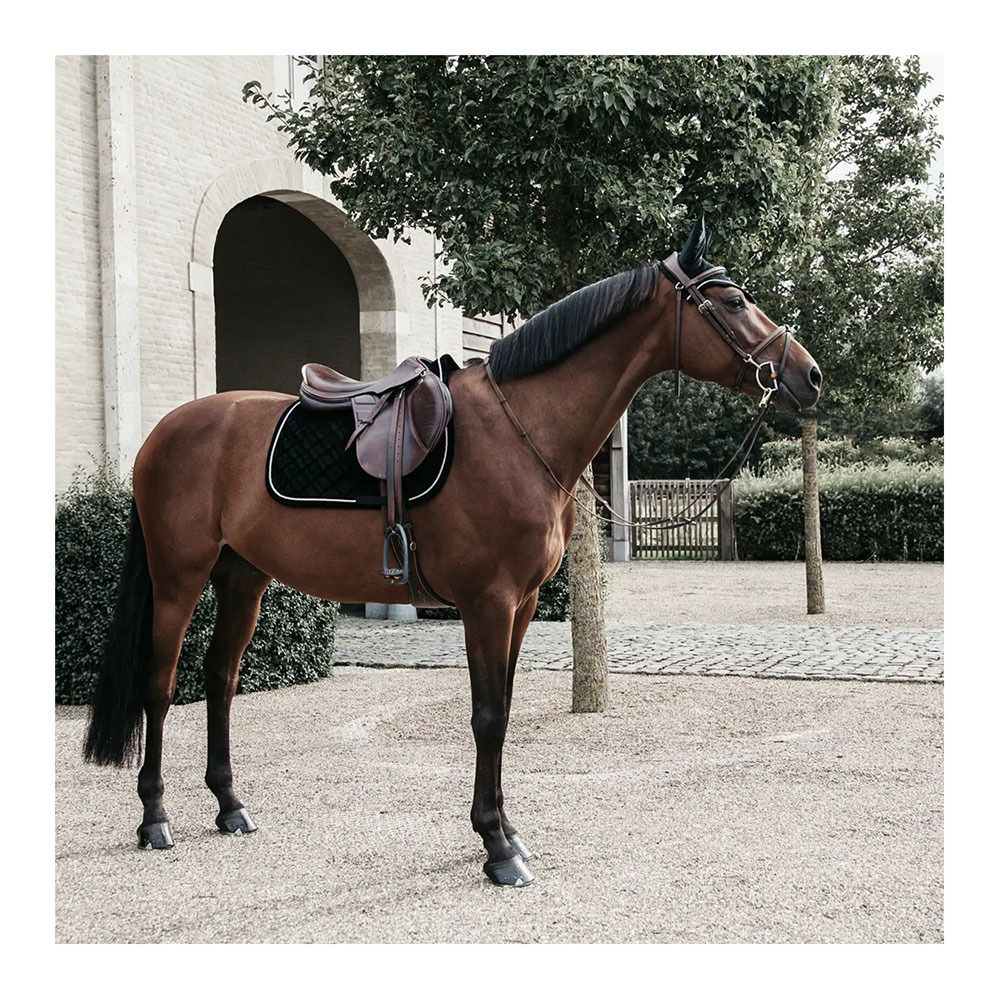 Kentucky CORDUROY - Tapis dressage noir