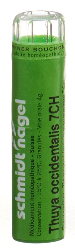 SCHMIDT-NAGEL Thuya occidentalis 7 CH<br>4 g, Granulat