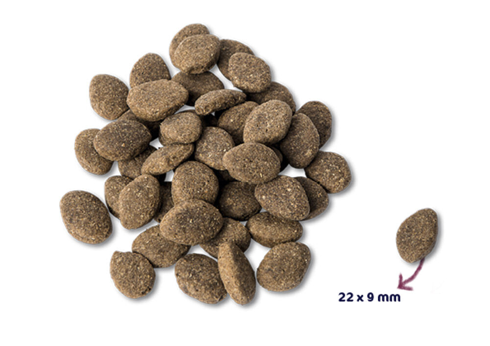 Renske Adult - Hondenvoer - 12 Kilogram - aardappel, groente, lam
