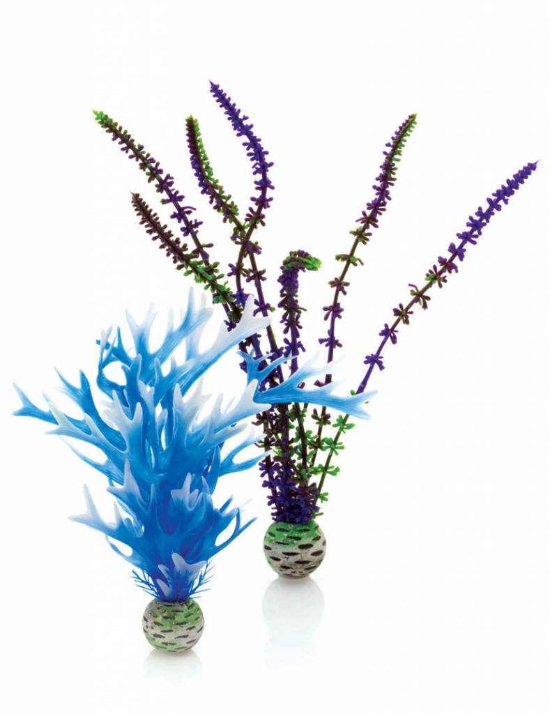 Easy plants medium blue/purple 2x. Goede kwaliteit.