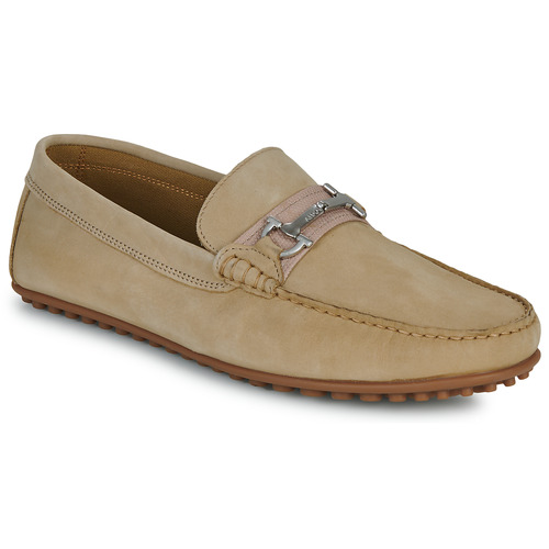 Aldo - SCUDERIA - Beige