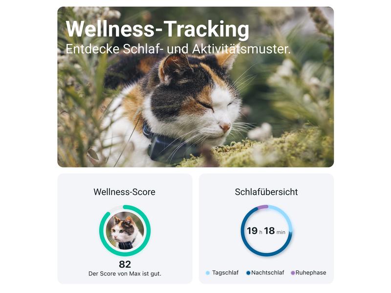 tractive GPS-Tracker CAT Mini LTE, Dunkelblau GPS Tracker für Katzen