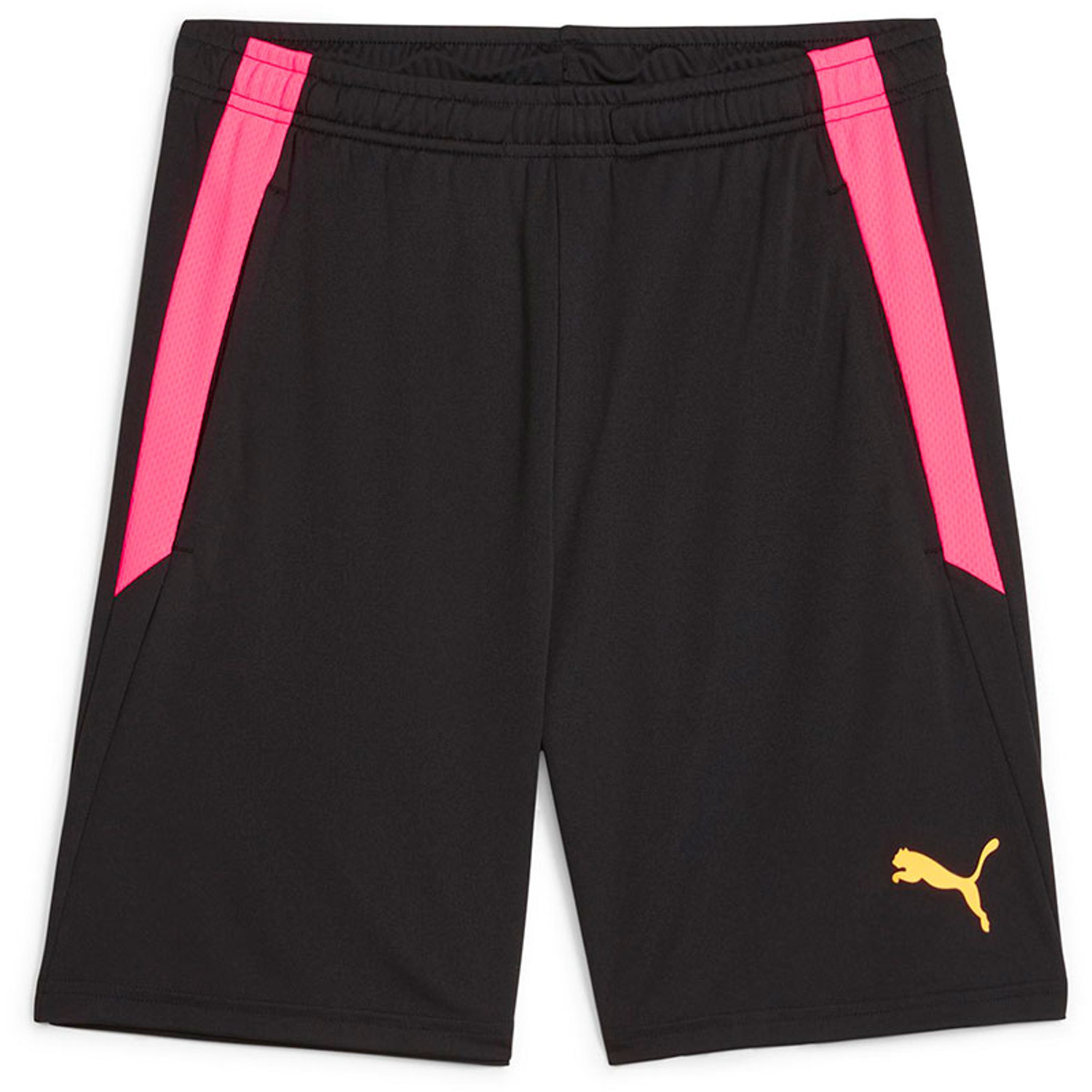 Puma LIGA Trainingsset