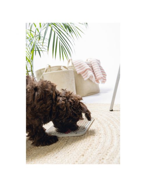 Beeztees Puppy Likmat Diza - Hondenspeelgoed - 20x20 cm Grijs