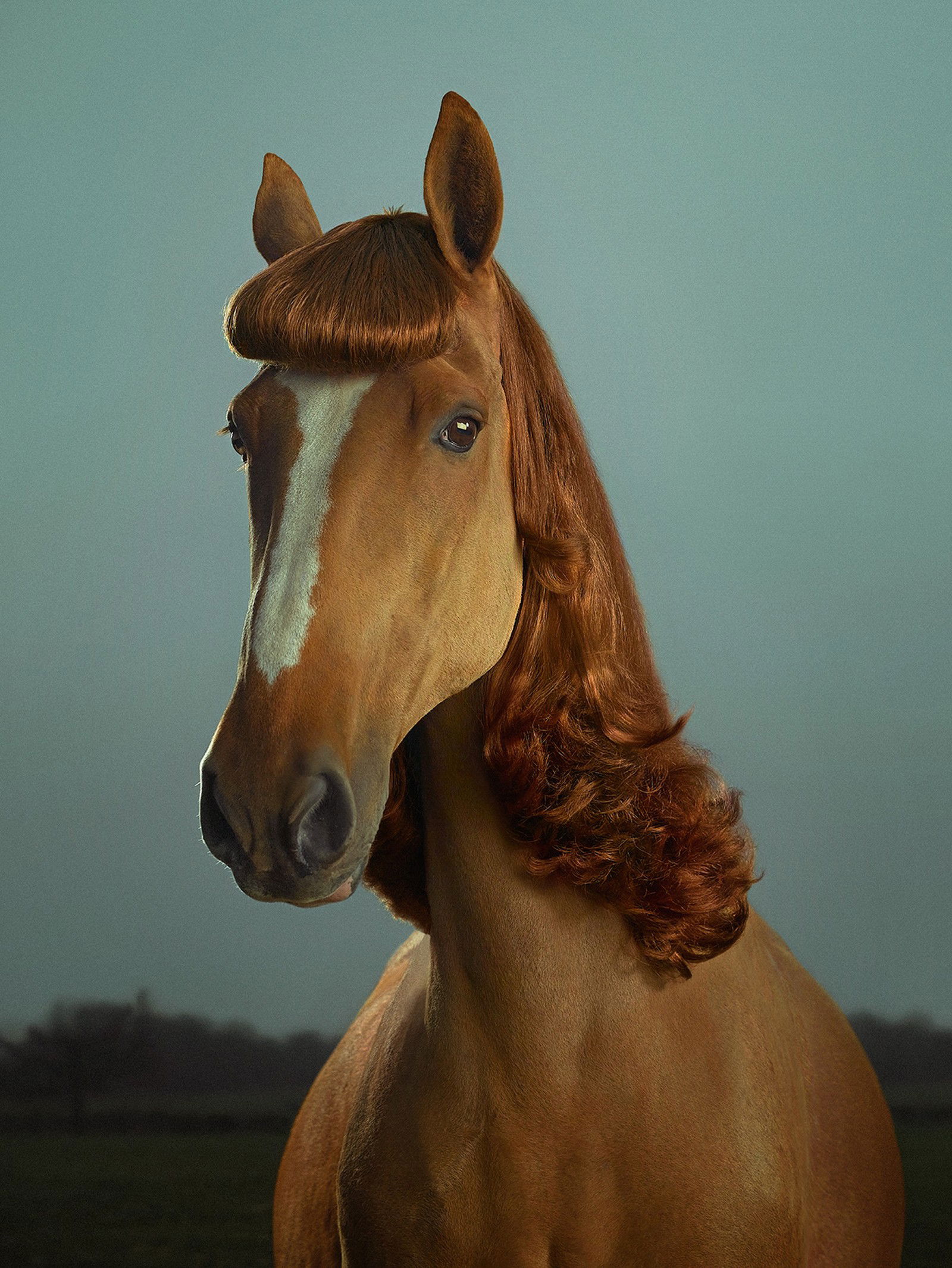 Florence by Julian Wolkenstein - Limited Edition. Edition of: 150. Signed.