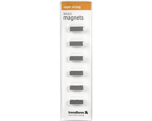 Decoratieve magneten Magic Stick set van 6 zilver
