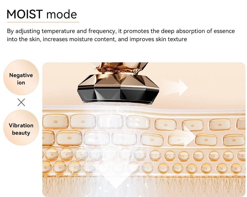 ANLAN - Multifunctioneel RF Beauty Device Pro