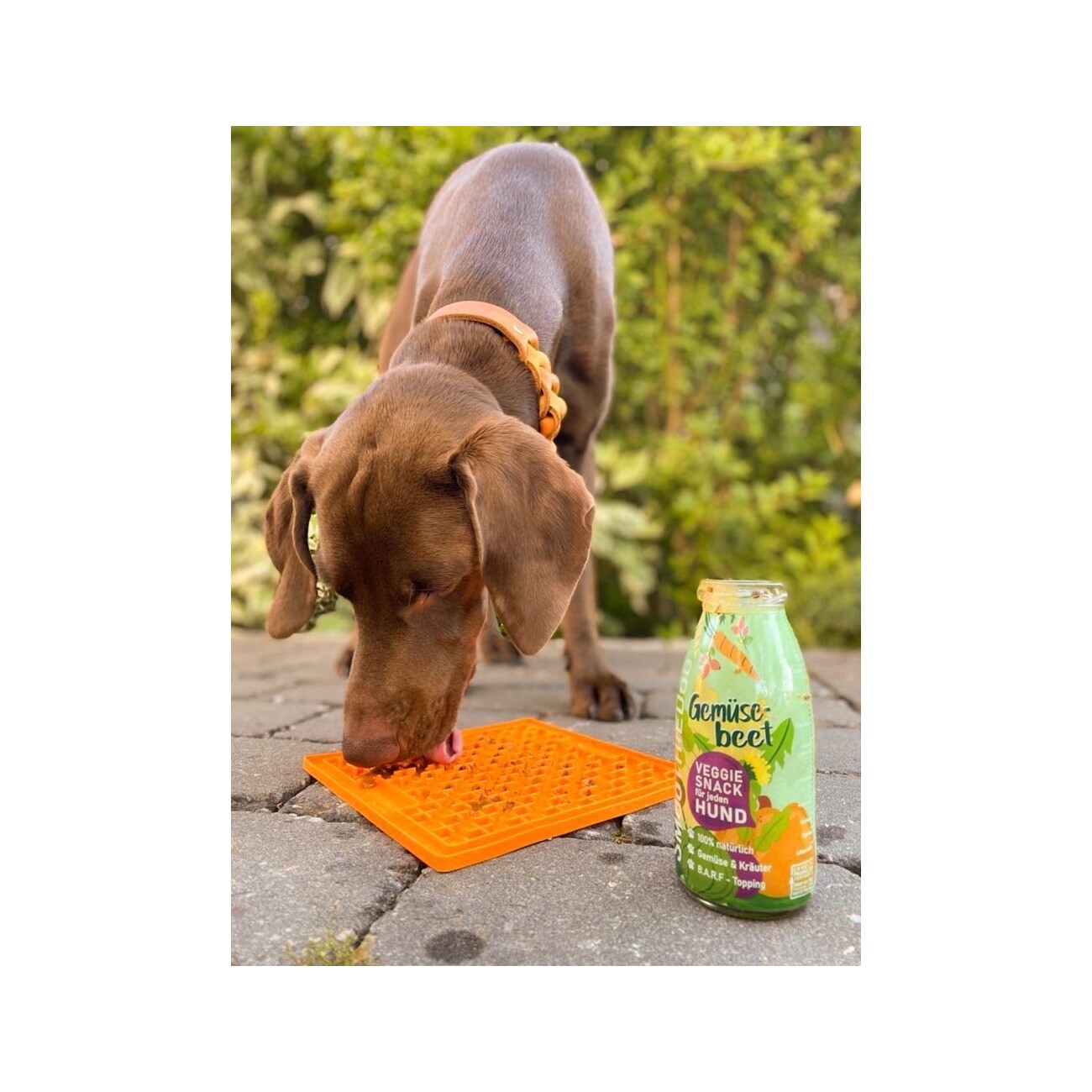 SmoothieDog Klassik 12x 250 ml + Lickimat Orange