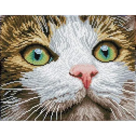 Pracht Diamond Dotz Hang in there, funkelndes Diamantbild zum Selbstgestalten, ca. 81 x 28 cm groß