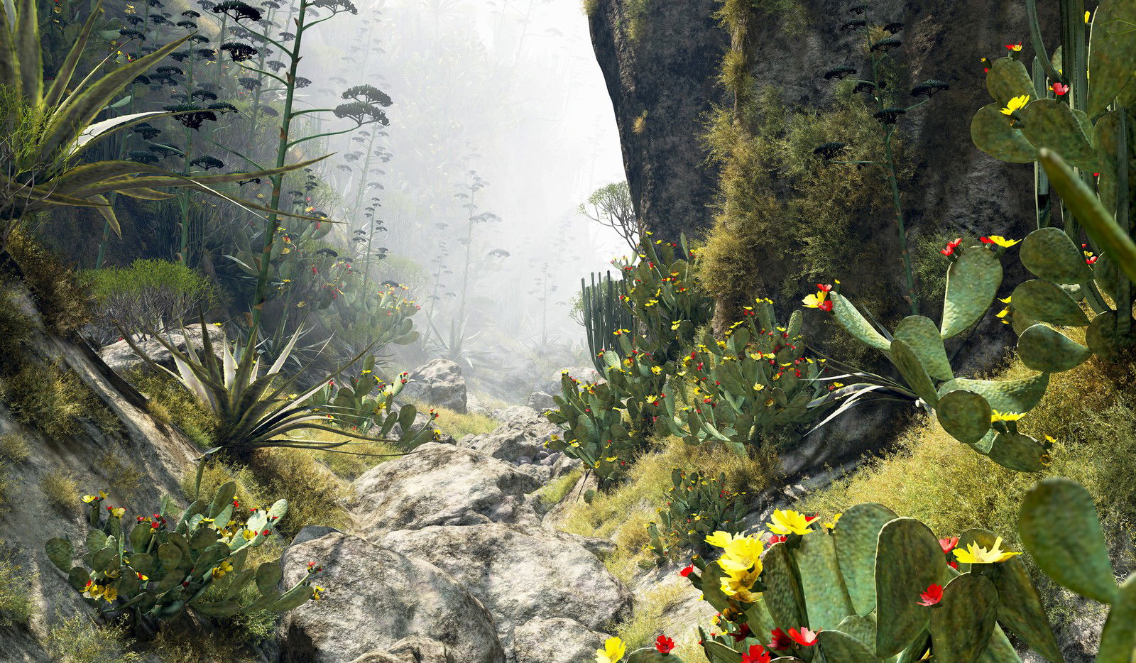 Barranco del Rey 33 by Gerhard Mantz - Limited Edition. Edition of: 100. Signed.