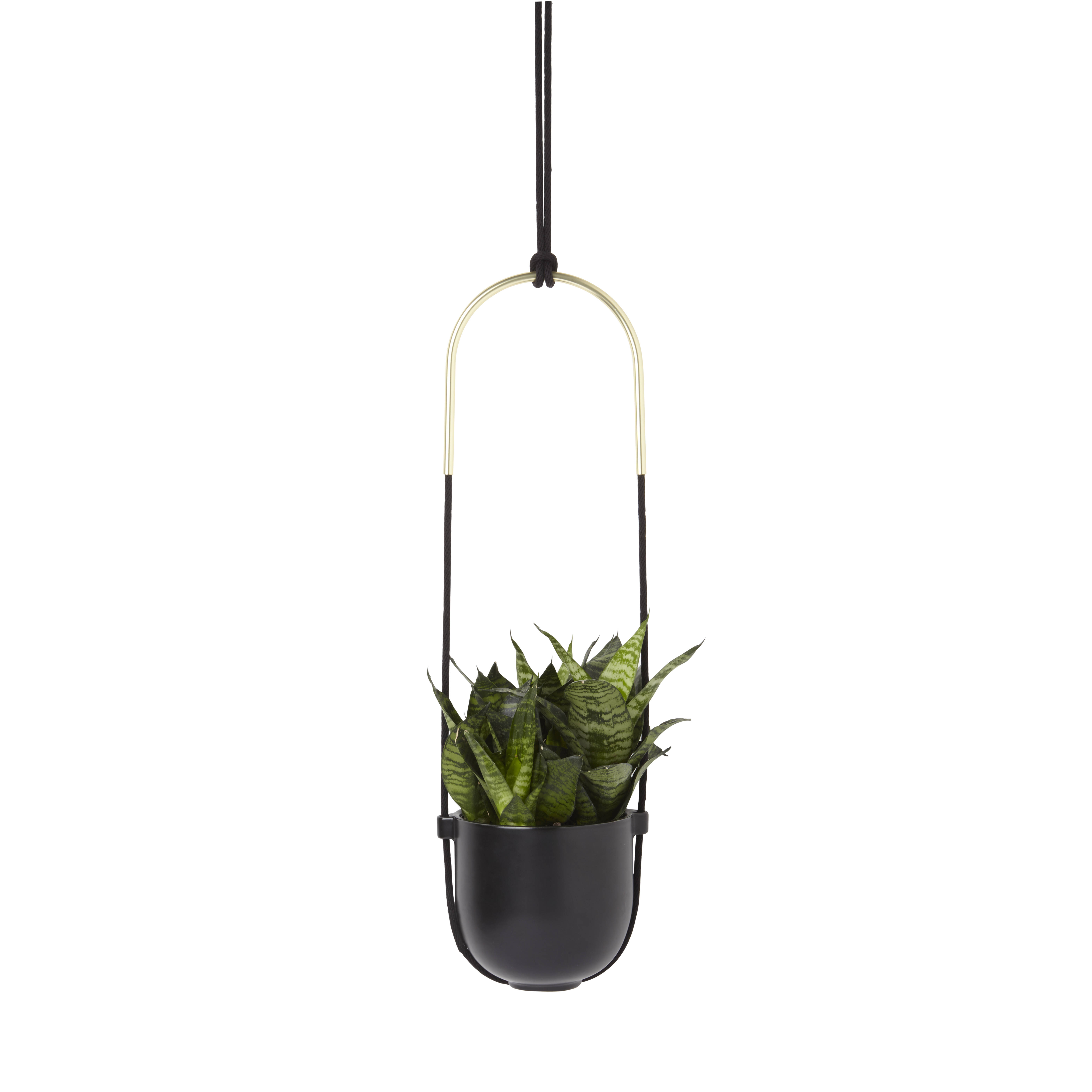 UMBRA plantenhanger Bolo