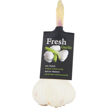 Verse Knoflook