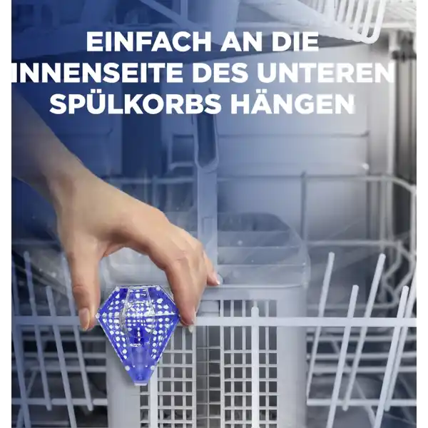 Protector Farb- und Glanzschutz