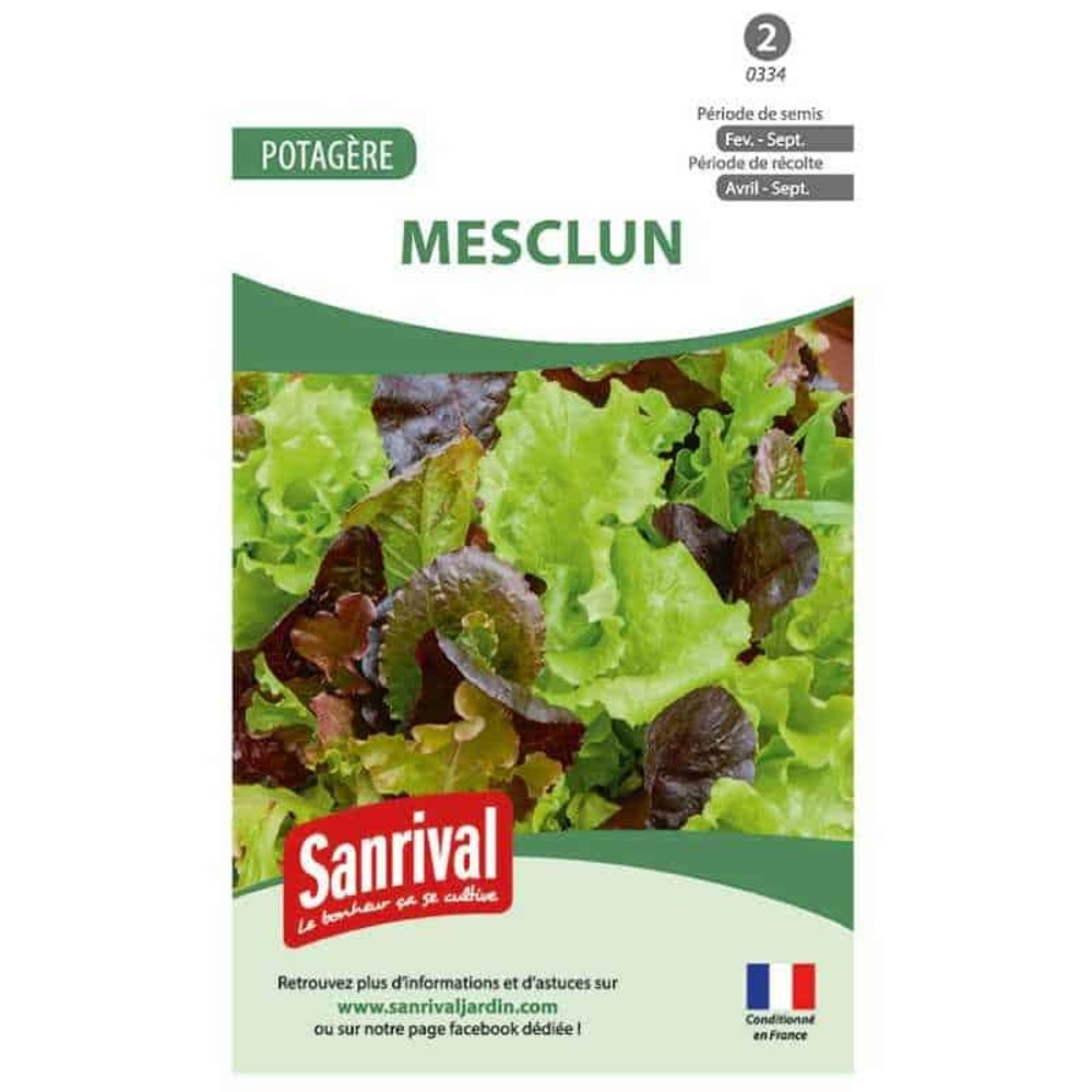 Graines de mesclun