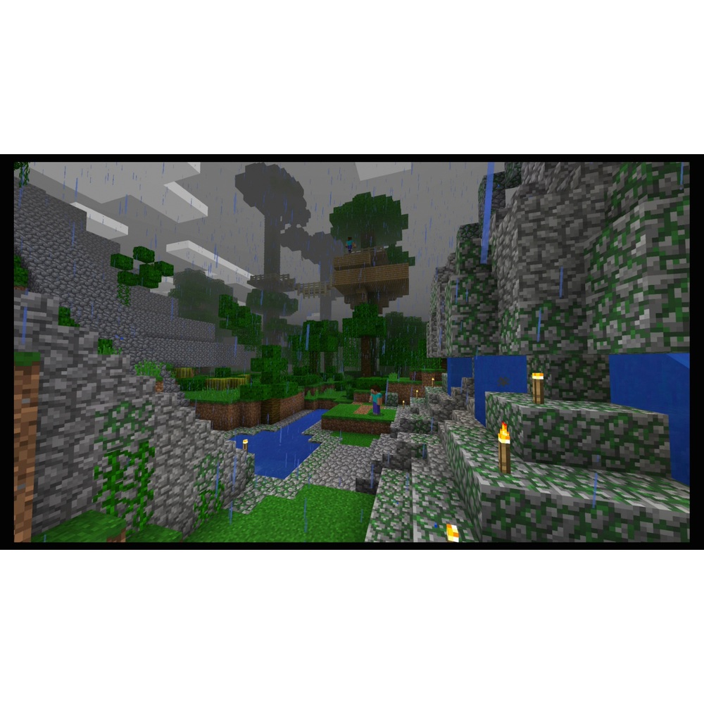 Minecraft Nintendo Switch