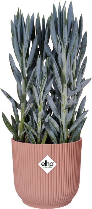 Elho bloempot Vibes roze D 34,9 H 32,4 cm
