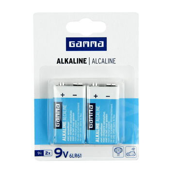 GAMMA Batterij Alkaline 9V 2 stuks