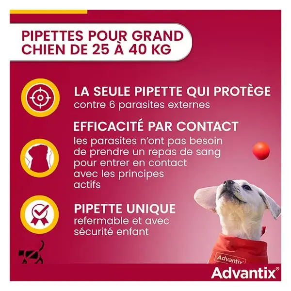 Advantix Solução para Tratamento de Pulgas e Antipulgas em Cães de Grande Porte (25-40kg) - 6 pipetas