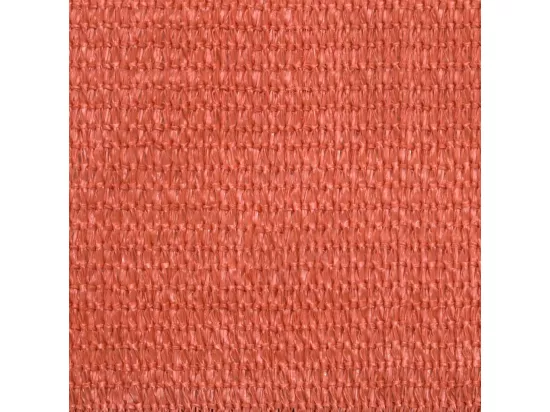 Voile d'ombrage 160 g/m² Terre cuite 2,5x5 m PEHD