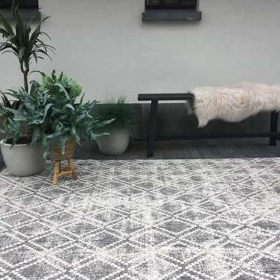 Eva Interior Buiten vloerkleed - Frost - Grijs/Wit- 200x290 cm